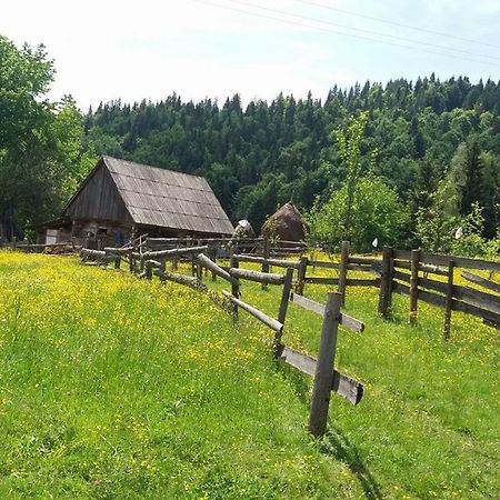 Pensiunea Miesca Matisesti Buitenkant foto