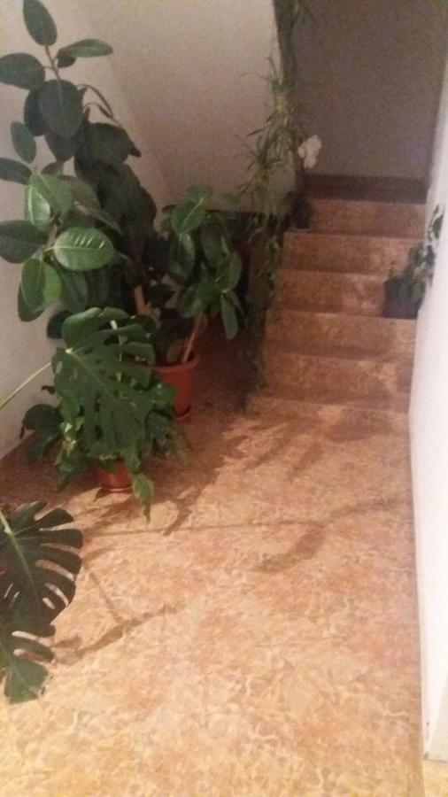Pensiunea Miesca Matisesti Buitenkant foto