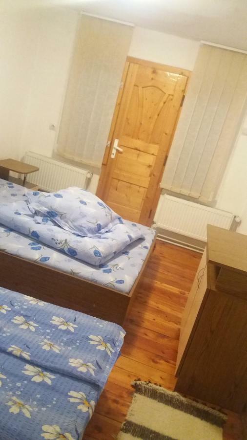 Pensiunea Miesca Matisesti Buitenkant foto