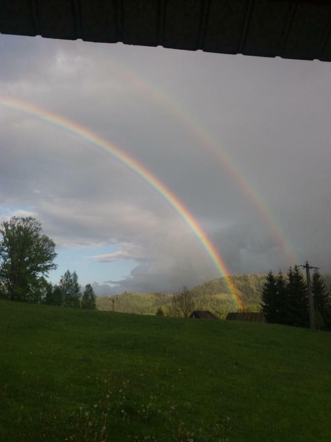 Pensiunea Miesca Matisesti Buitenkant foto