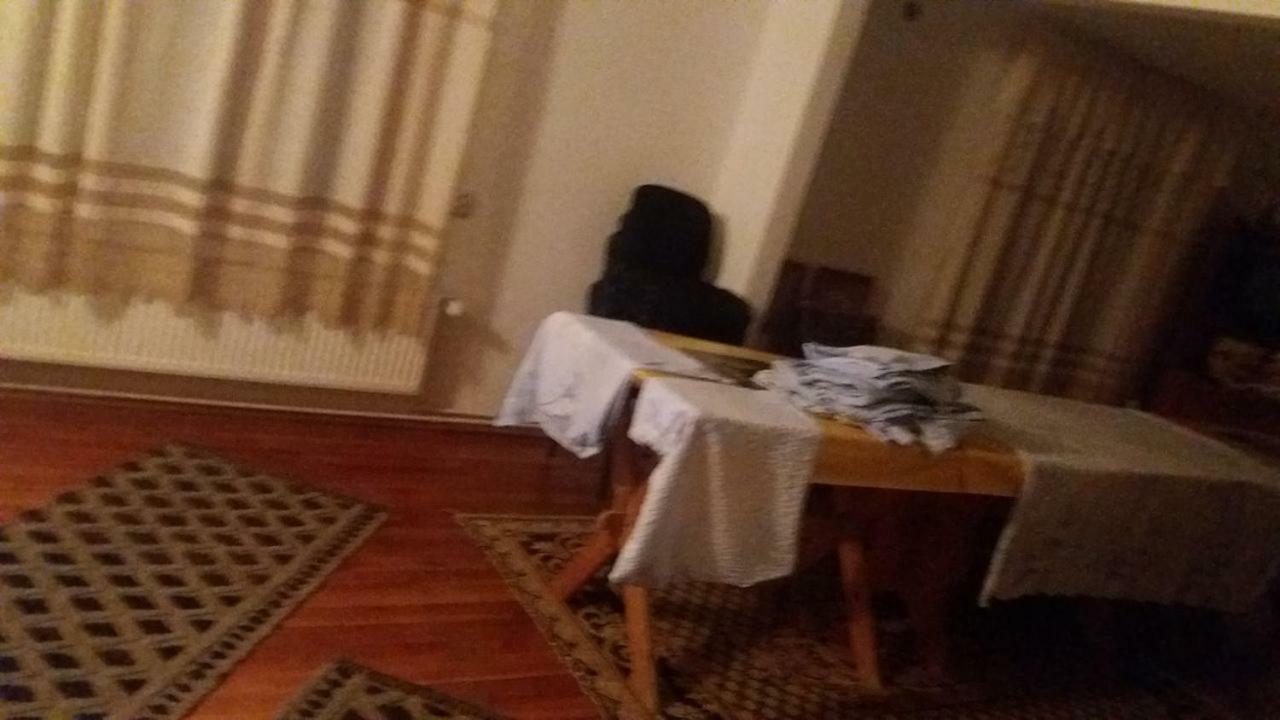 Pensiunea Miesca Matisesti Buitenkant foto