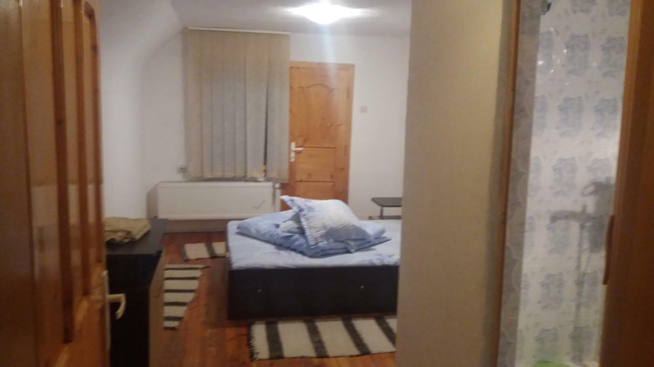 Pensiunea Miesca Matisesti Buitenkant foto